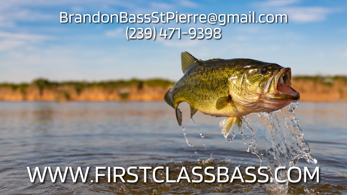 https://firstclassbass.com/wp-content/uploads/2023/06/Freshwater-Fishing-Charters-Largemouth-Bass-Fishing-Guide-Florida-Everglades-1.png